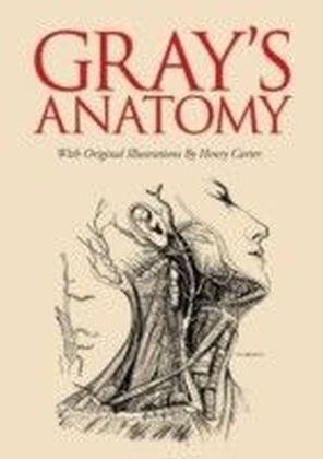 Gray's Anatomy main product photo