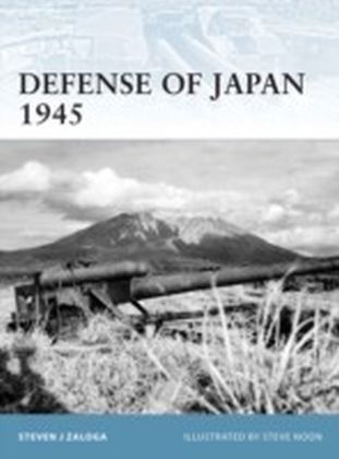 Defense of Japan 1945 main product photo