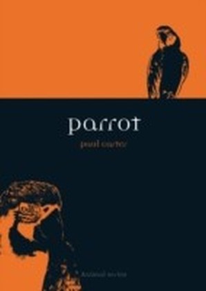 Parrot main product photo