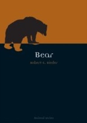 Bear main product photo