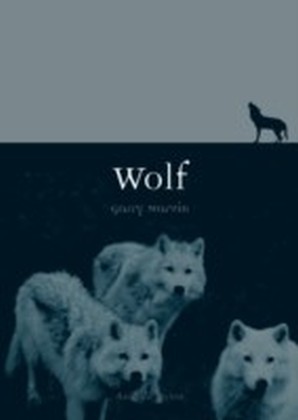 Wolf main product photo