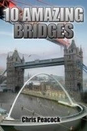 10 Amazing Bridges