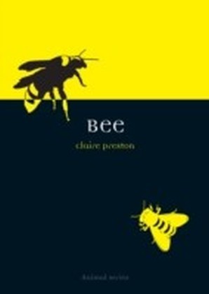 Bee main product photo