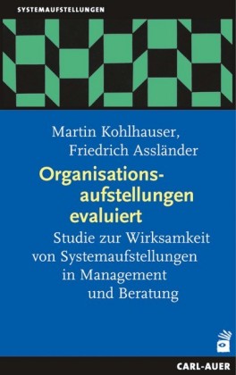 Organisationsaufstellungen evaluiert