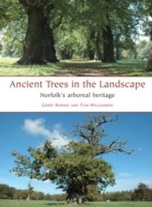 Ancient Trees in the Landscape