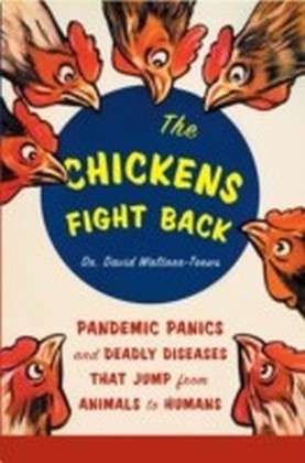 Chickens Fight Back