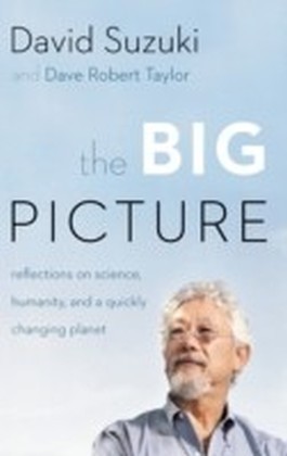 Big Picture