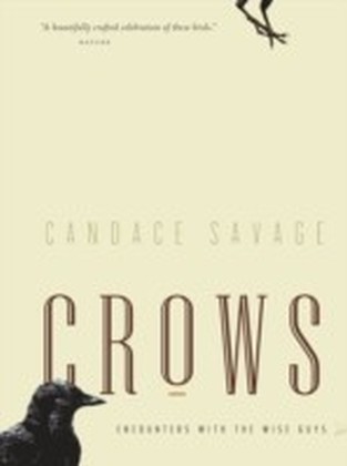 Crows main product photo