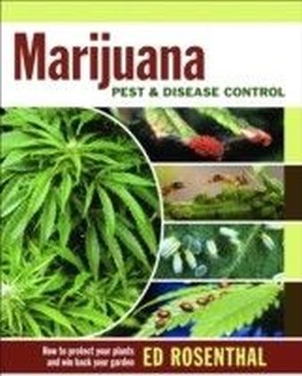 Marijuana Pest and Disease Control main product photo