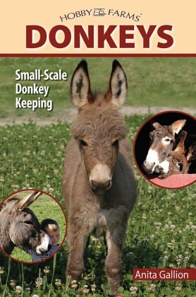 Donkeys