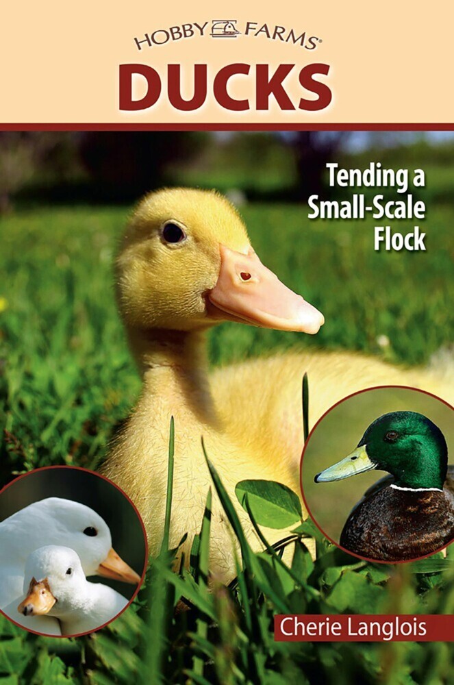 Ducks main product photo