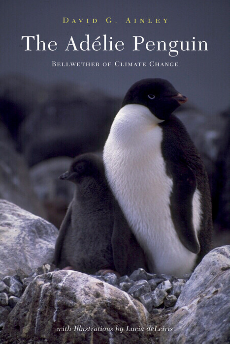 The Adélie Penguin main product photo