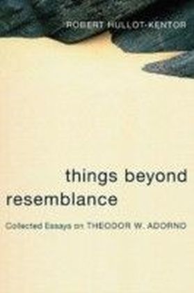 Things Beyond Resemblance main product photo