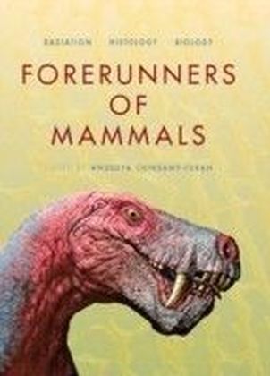 Forerunners of Mammals main product photo