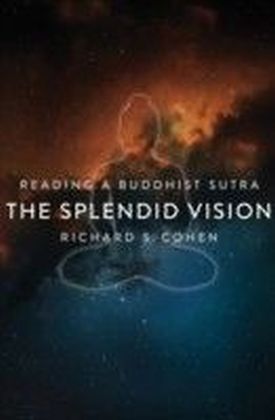 Splendid Vision