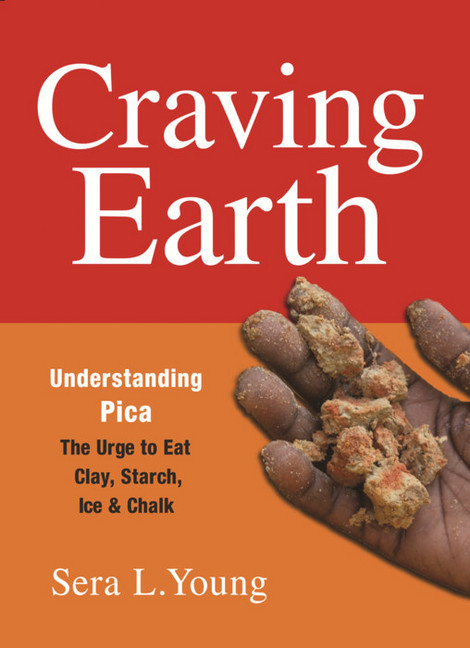 Craving Earth main product photo