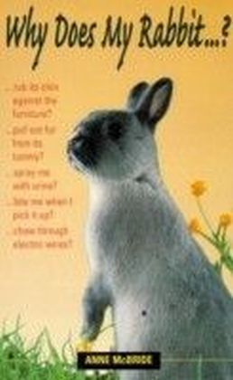 Why Does My Rabbit...?