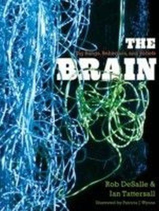 Brain