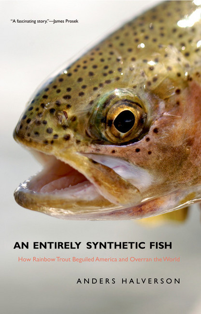 An Entirely Synthetic Fish main product photo