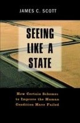 Seeing Like a State
