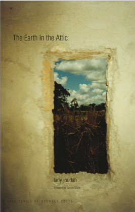 The Earth in the Attic