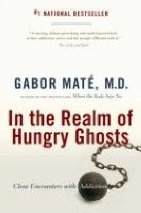 In the Realm of Hungry Ghosts main product photo