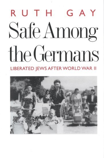 Safe Among the Germans main product photo