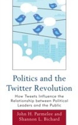 Politics and the Twitter Revolution