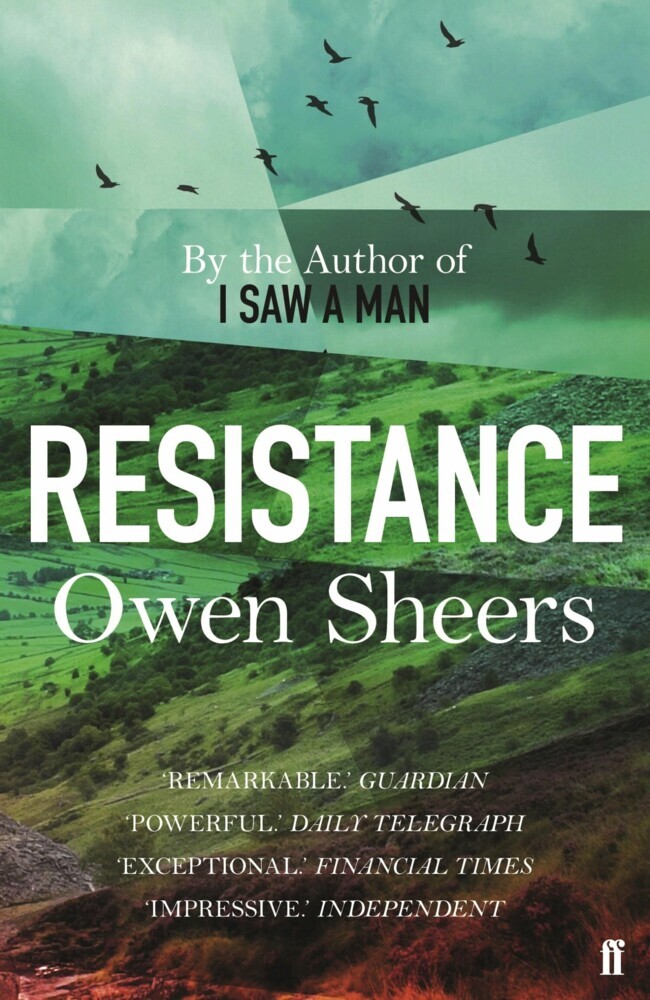Resistance main product photo