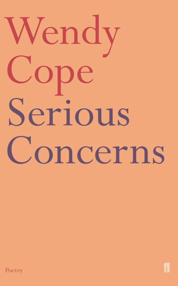 Serious Concerns main product photo
