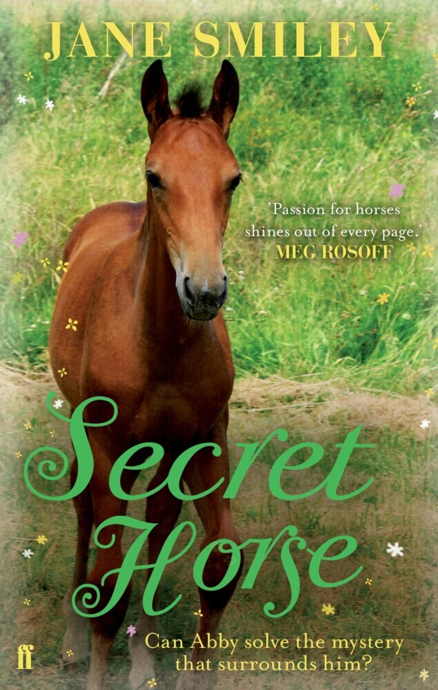 Secret Horse main product photo