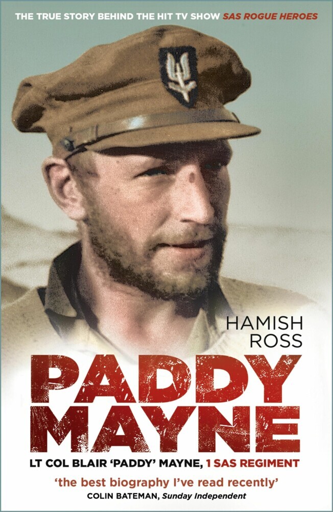 Paddy Mayne main product photo