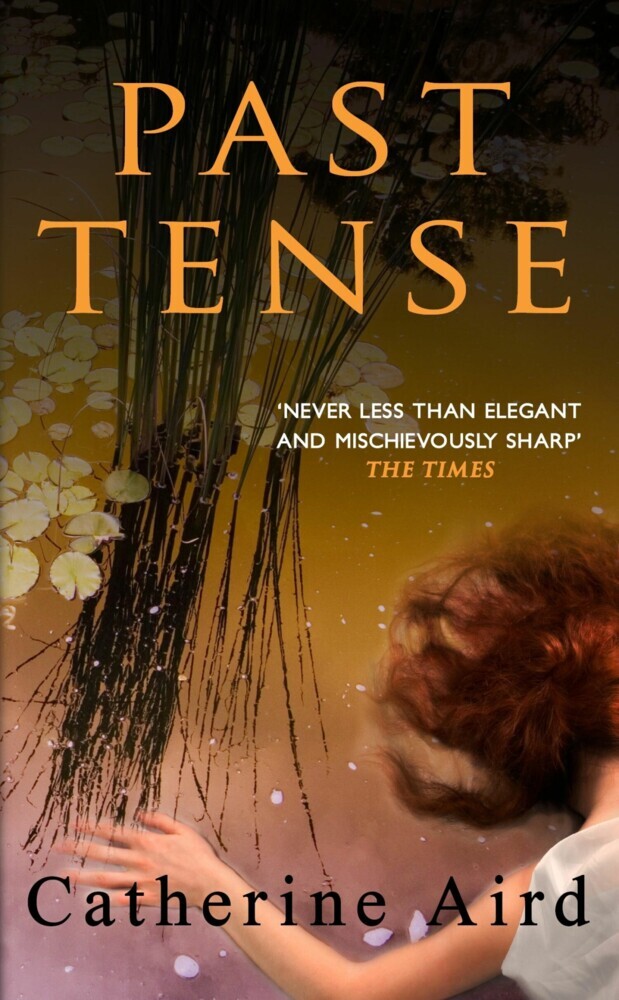 Past Tense main product photo