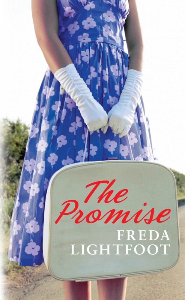 The Promise main product photo