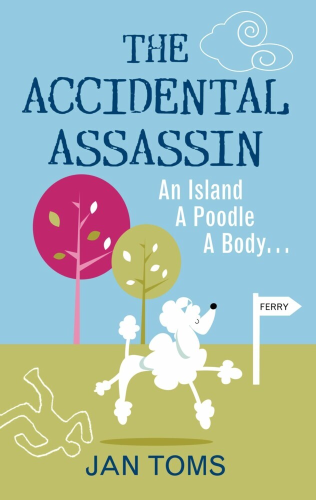 The Accidental Assassin main product photo