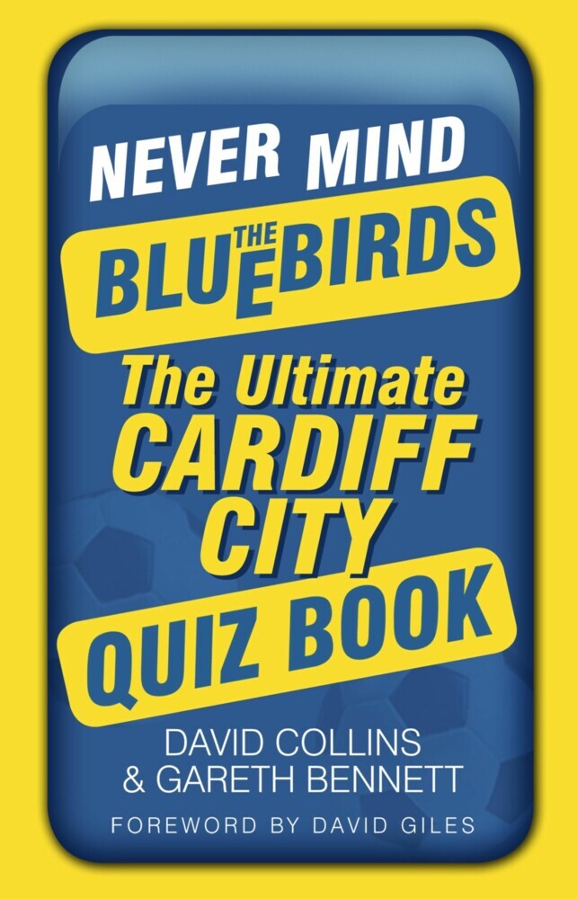 Never Mind the Bluebirds main product photo