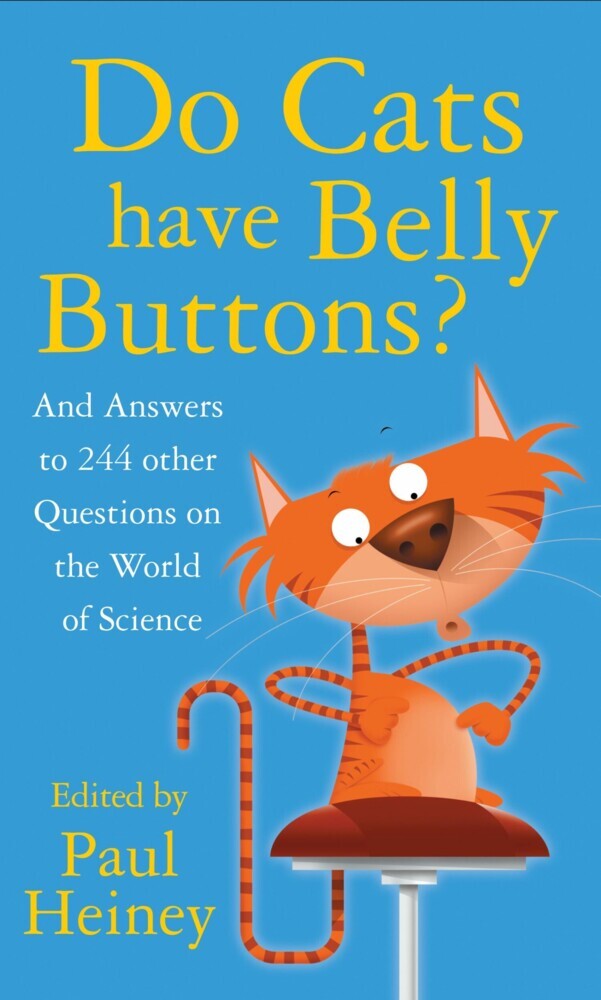 Do Cats Have Belly Buttons? main product photo