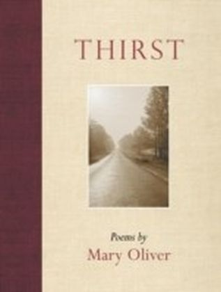 Thirst main product photo
