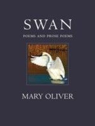 Swan main product photo