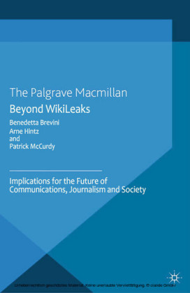 Beyond WikiLeaks