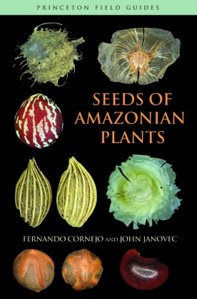 Seeds of Amazonian Plants