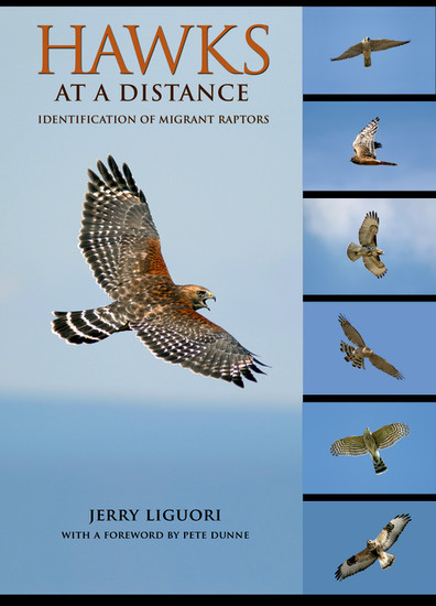 Hawks at a Distance main product photo
