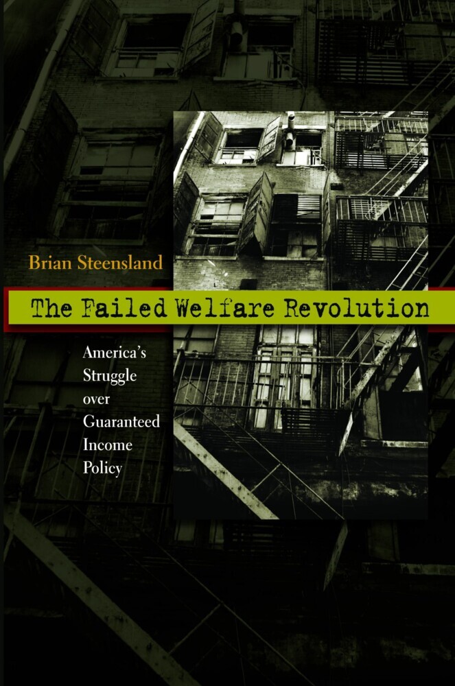 The Failed Welfare Revolution main product photo
