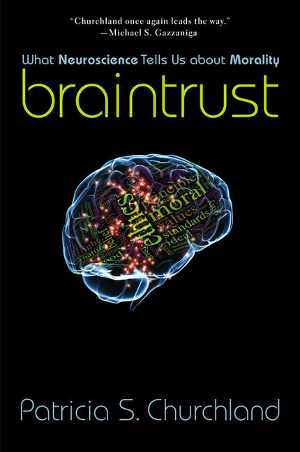 Braintrust main product photo