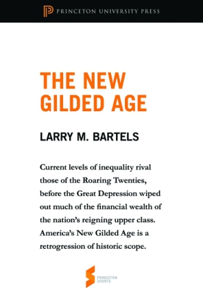 New Gilded Age