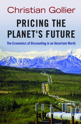 Pricing the Planet's Future