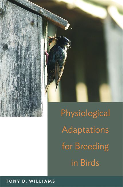 Physiological Adaptations for Breeding in Birds main product photo