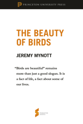 Beauty of Birds