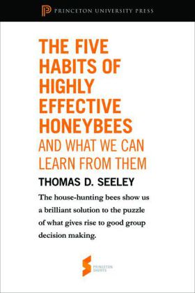 Five Habits of Highly Effective Honeybees (and What We Can Learn from Them)