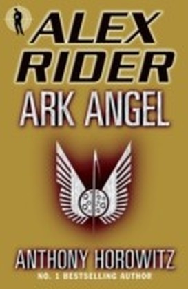 Ark Angel main product photo